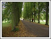 DSC04650 * 01.09.2007 * 2048 x 1536 * (1.46MB)