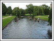 DSC04654 * 01.09.2007 * 2048 x 1536 * (1.46MB)