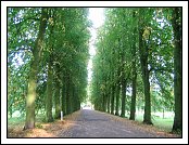 IMG_2662 * 01.09.2007 * 2272 x 1704 * (1.45MB)